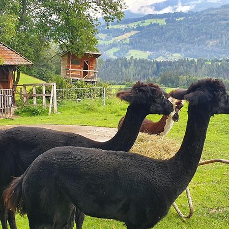 Tuschnhof Daire Rinn Dış mekan fotoğraf